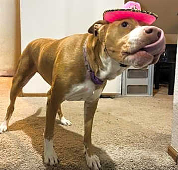 Photo of Zenny