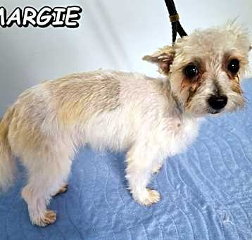 Photo of Margie