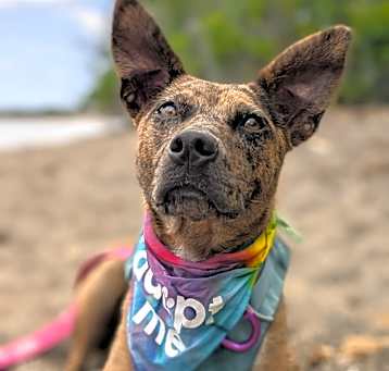 Photo of Coconut