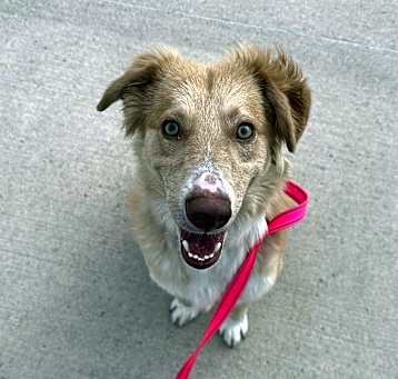 Photo of Hunter
