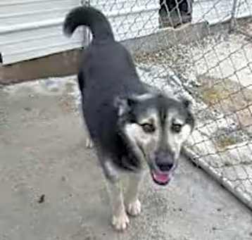 Photo of Hudson