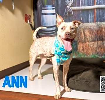 Photo of Ann