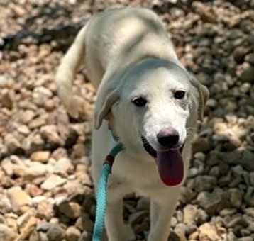 Photo of Belle
