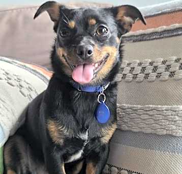 Photo of Lucy