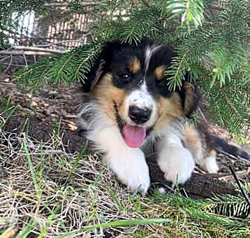 Photo of 0837 Tolkien