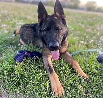Photo of Kaiser