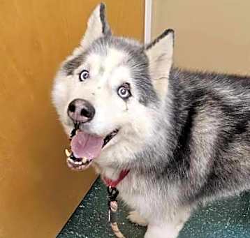 Photo of Storm