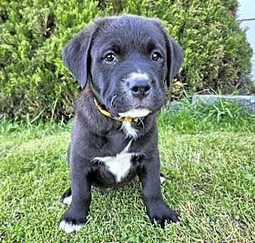 Photo of Rolo (Candy Kid)