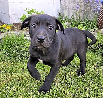 Photo of Baby Ruth (Candy Kid)