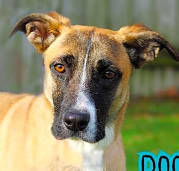 Photo of Doc