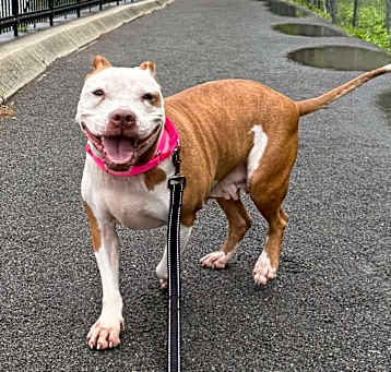 Photo of Tilly