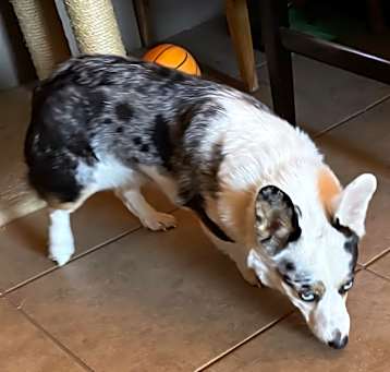 Photo of Elsa