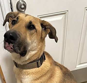 Photo of JAX