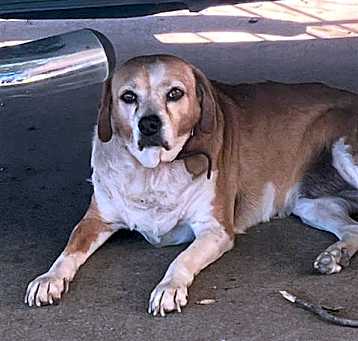 Photo of ZOE