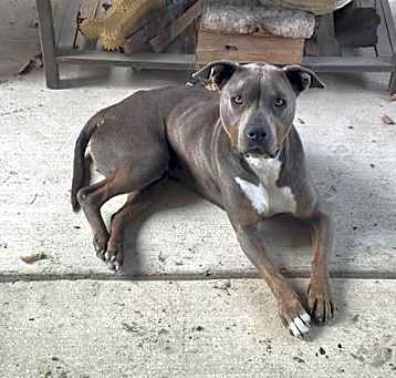 Photo of ZEUS