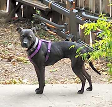 Photo of OLIVIA