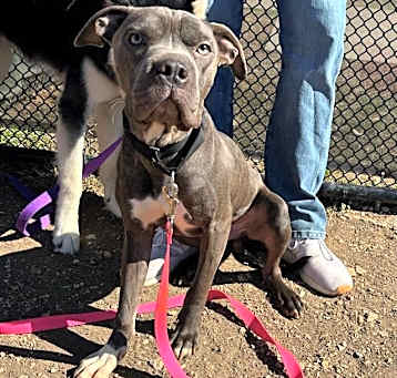 Photo of ZEUS