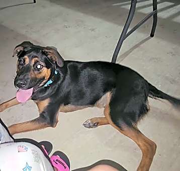 Photo of REESE