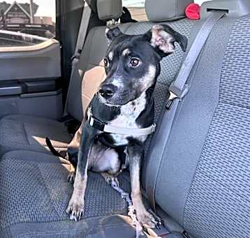 Photo of GYPSY