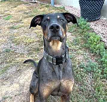 Photo of DEBO