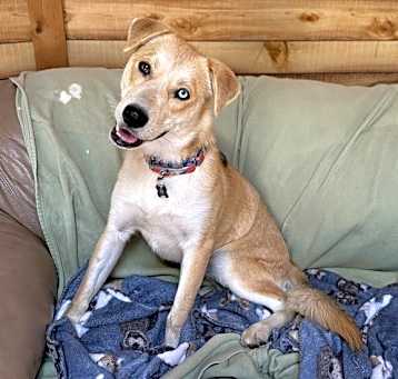 Photo of Roxy