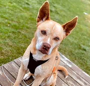 Photo of Maggie