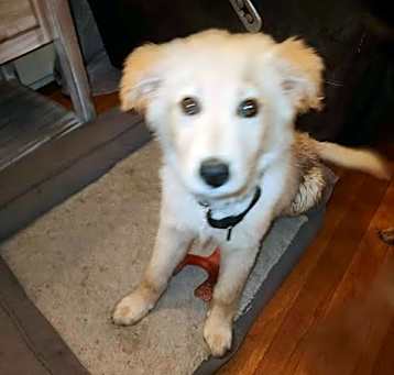 Photo of Kash