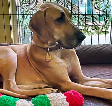Photo of Mabel