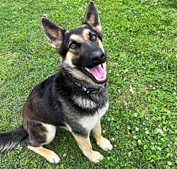Photo of Ember