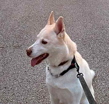 Photo of Vix
