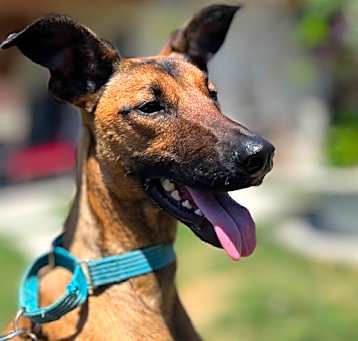 Photo of *** Baby Girl