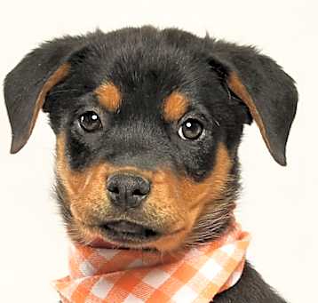 Photo of Kaylee