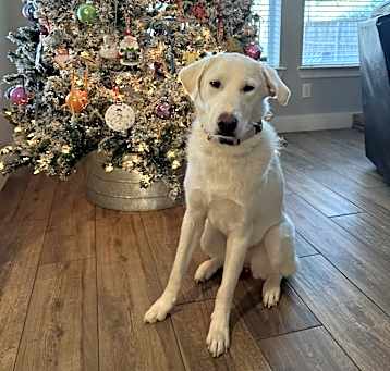 Photo of Lucy