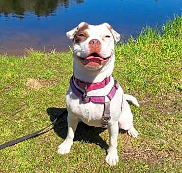 Photo of Daisy