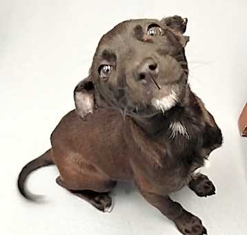 Photo of Belle