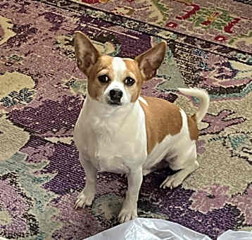 Photo of Tiny