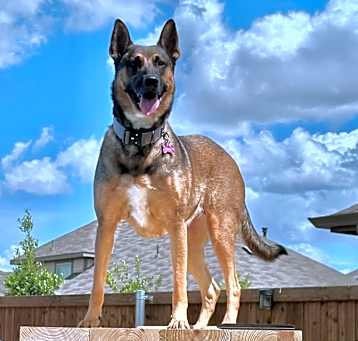 Photo of Aria