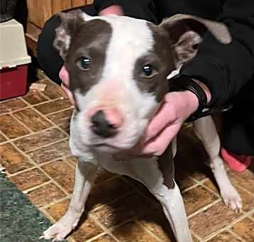 Photo of Dottie