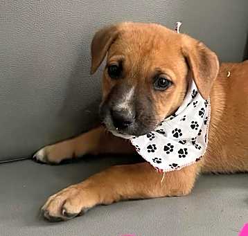 Photo of Penelope