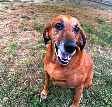 Photo of Lexi