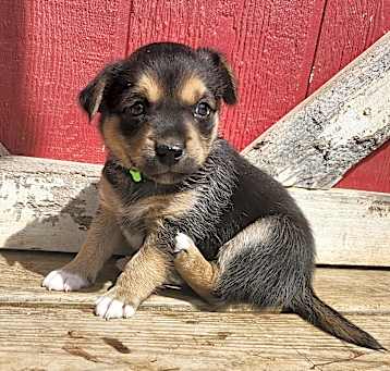 Photo of Jillie