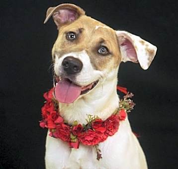 Photo of Ellie Mae
