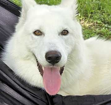 Photo of Maverick
