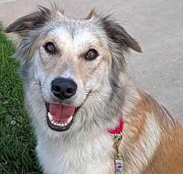 Photo of Estrella