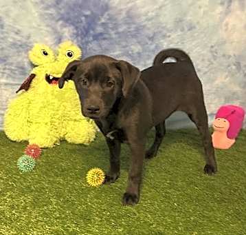 Photo of 250103  Wiggles