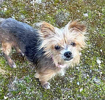 Photo of Charlie