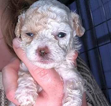 Photo of Muriel