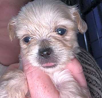Photo of Edith