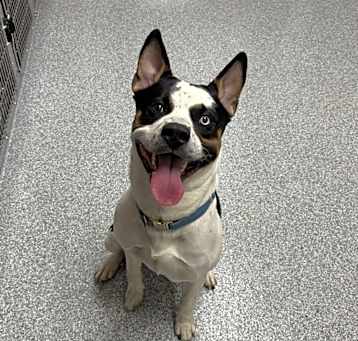 Photo of Morty