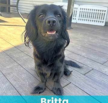 Photo of Britta